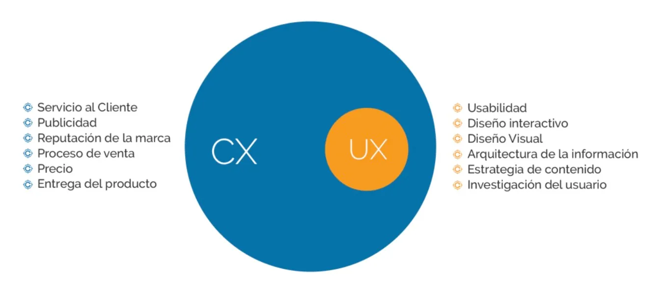 The importance of a well-defined architecture in a project of this scale