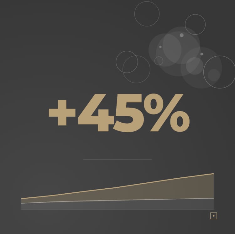 PPC Case Study: 44.57% more ROAS in 6 months